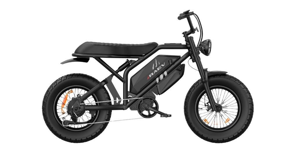 RAEV Bullet GTX Emoto eBike