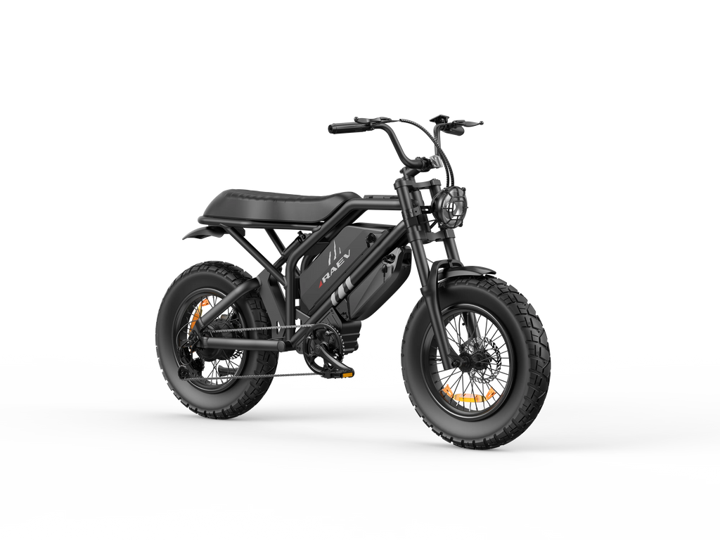 RAEV Bullet GTX Emoto eBike